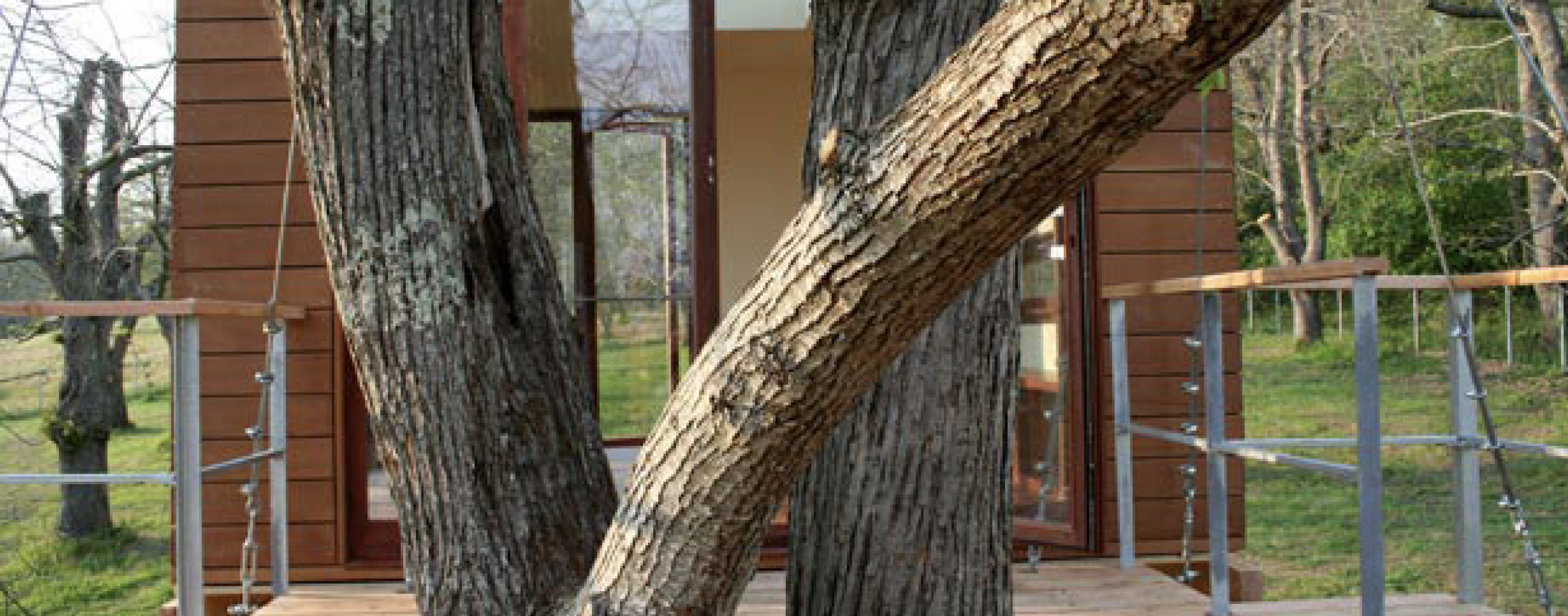 Treehouse Lodge